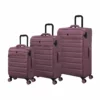 IT Luggage Census - 3pc Set (Nostalgia Rose)